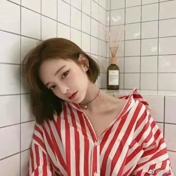 芙蓉春色