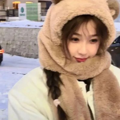 假元首秘纪